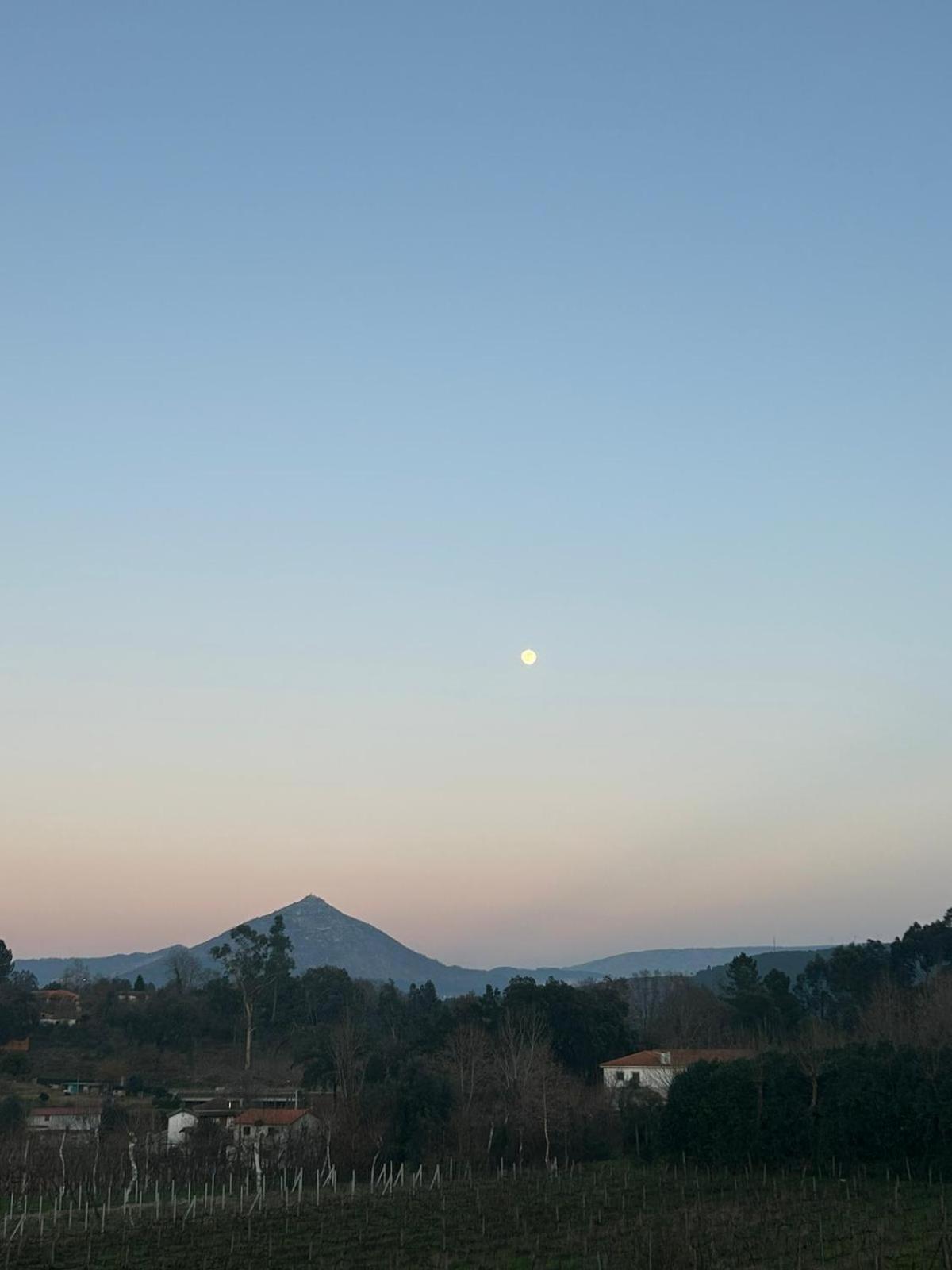Quinta Da Lage Agroturismo E Enoturismo 세로리코데바스토 외부 사진