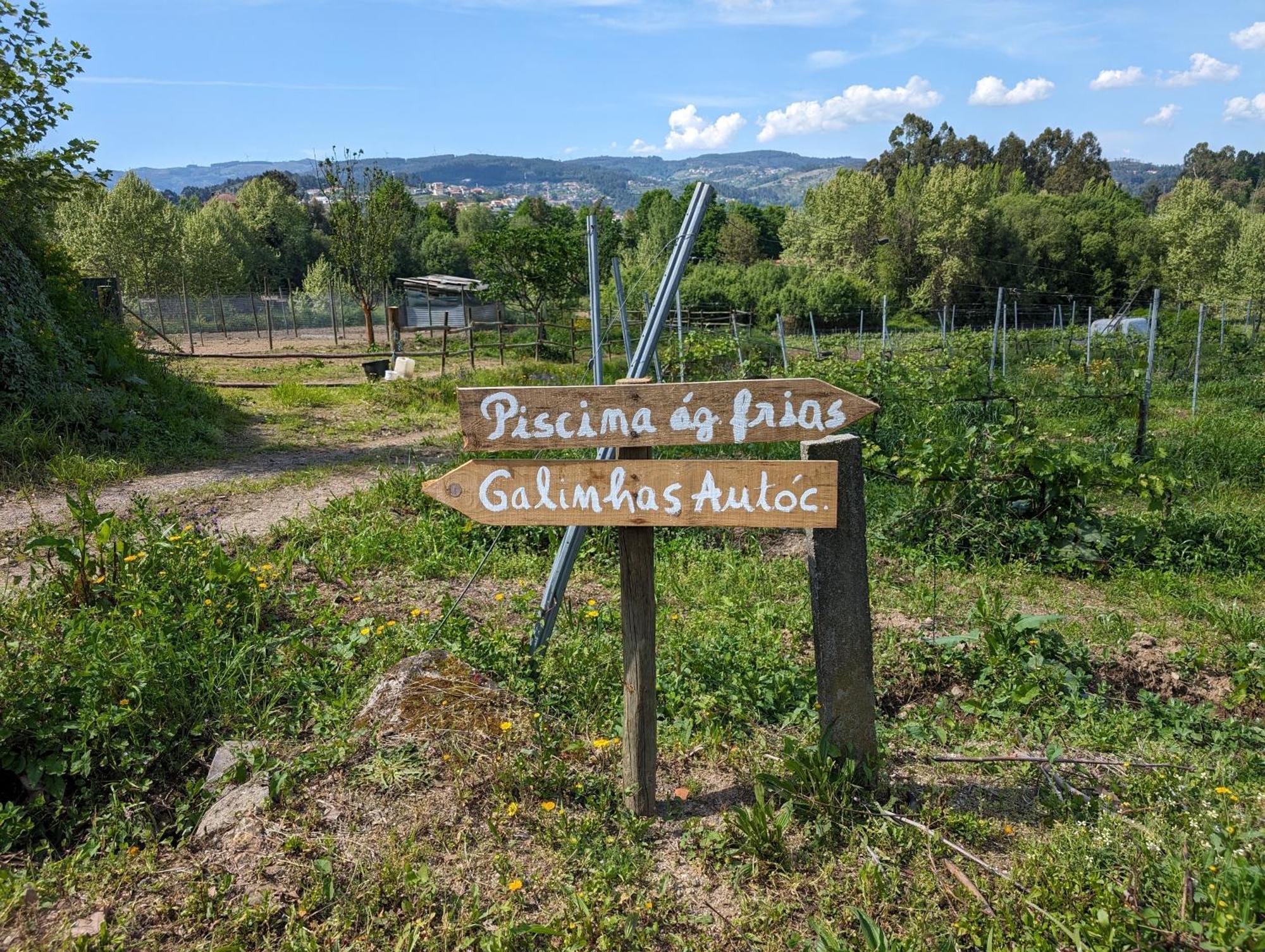 Quinta Da Lage Agroturismo E Enoturismo 세로리코데바스토 외부 사진